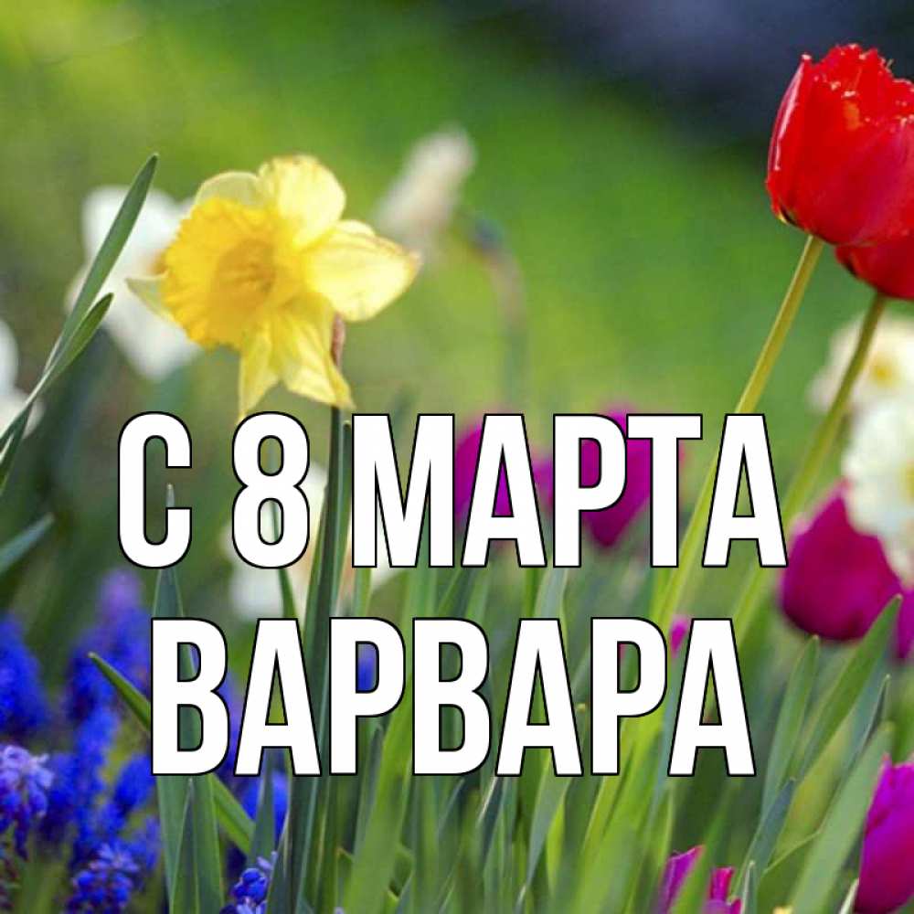 Открытка на каждый день с именем, Варвара С 8 МАРТА международный женский день 3 Прикольная открытка с пожеланием онлайн скачать бесплатно 