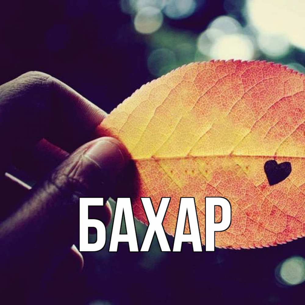 Открытка на каждый день с именем, Бахар Главная держу лист Прикольная открытка с пожеланием онлайн скачать бесплатно 