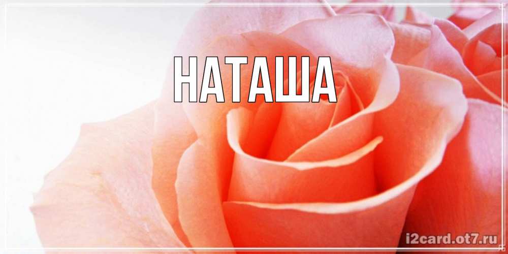 Открытка на каждый день с именем, Наташа Главная открытка на день Святого Валентина с розовой розой Прикольная открытка с пожеланием онлайн скачать бесплатно 