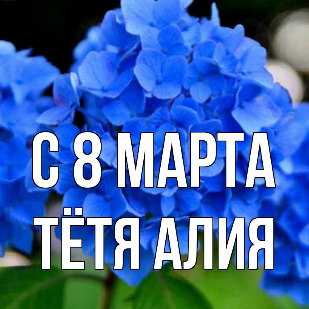 Открытка на каждый день с именем, Тётя-Алия С 8 МАРТА синие цветы Прикольная открытка с пожеланием онлайн скачать бесплатно 