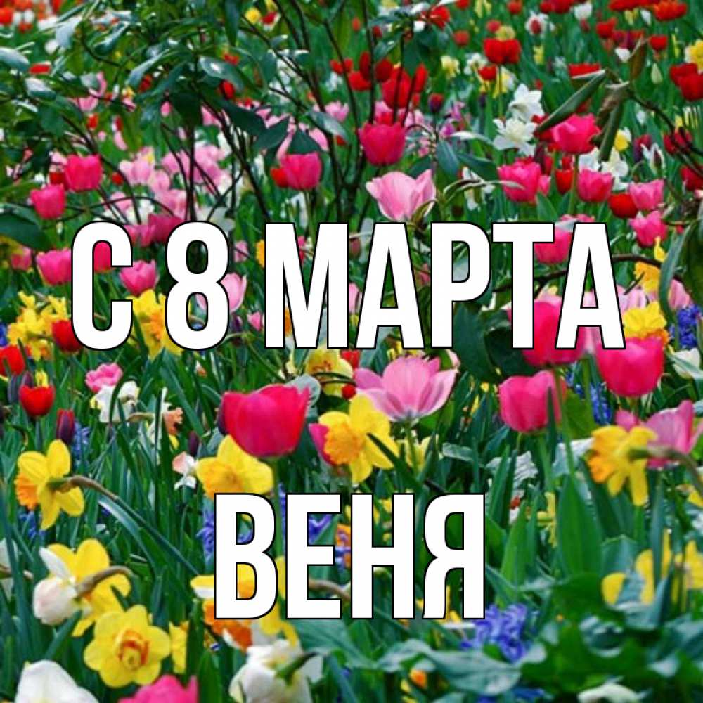 Открытка на каждый день с именем, Веня С 8 марта с международным женским днем поздравления для женщины Прикольная открытка с пожеланием онлайн скачать бесплатно 