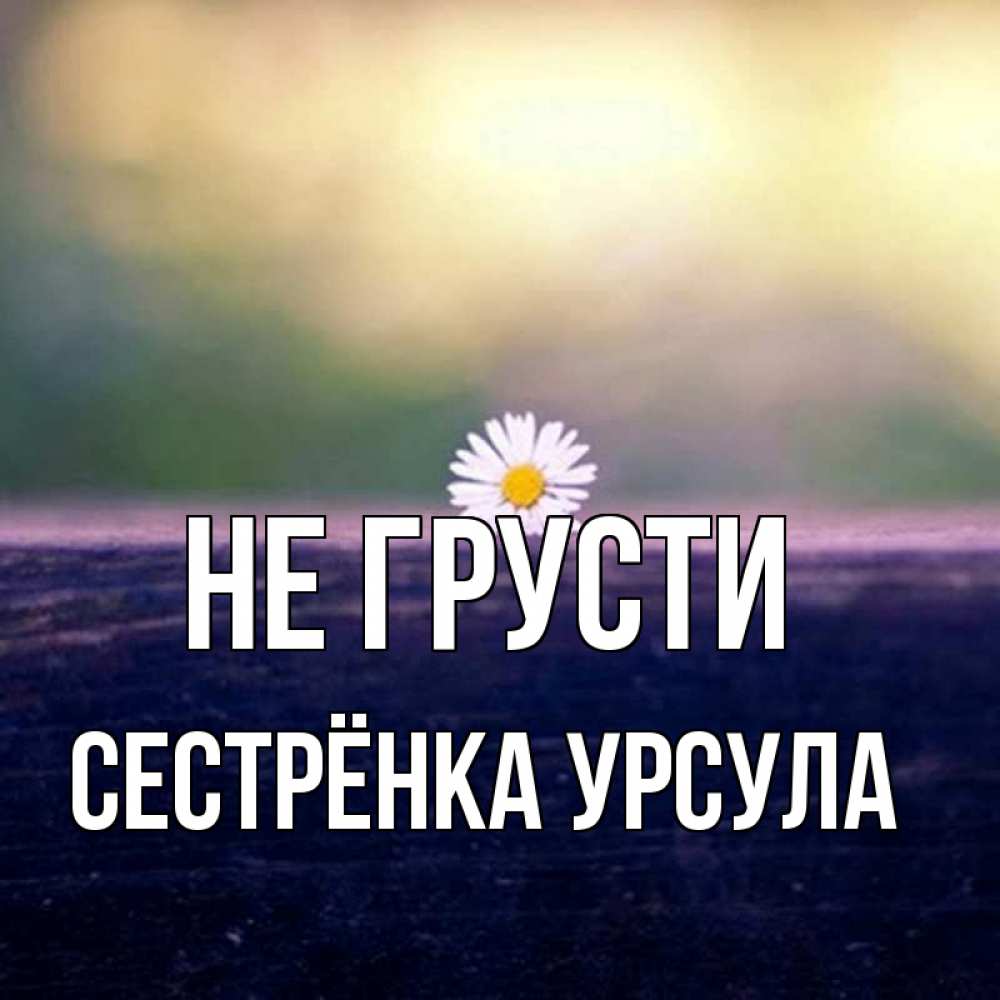 Открытка на каждый день с именем, Сестрёнка-Урсула Не грусти красота Прикольная открытка с пожеланием онлайн скачать бесплатно 