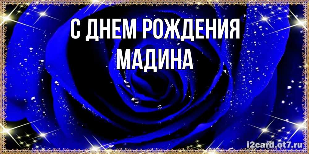 Открытка на каждый день с именем, Мадина С днем рождения голубые цветы в росе Прикольная открытка с пожеланием онлайн скачать бесплатно 