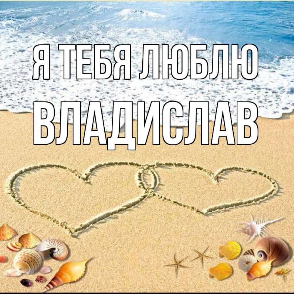 Открытка на каждый день с именем, Владислав Я тебя люблю ракушки Прикольная открытка с пожеланием онлайн скачать бесплатно 