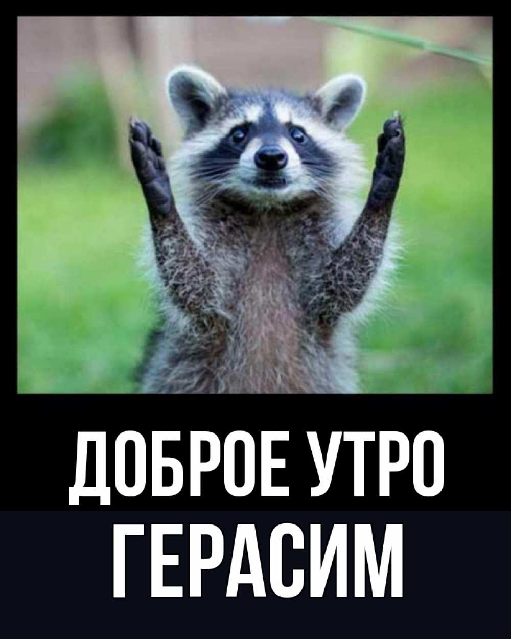 Открытка на каждый день с именем, Герасим Доброе утро хорошее настроение утречком Прикольная открытка с пожеланием онлайн скачать бесплатно 