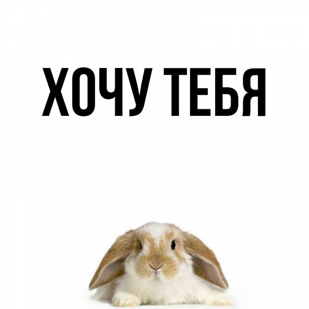 Открытка на каждый день с именем, Хочу-тебя Главная открытки с произвольным текстом который можно вставить в открытку и создать ее самостоятельно бесплатно онлайн Прикольная открытка с пожеланием онлайн скачать бесплатно 