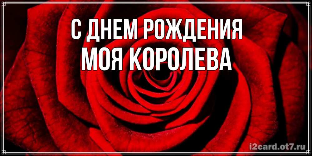 С днем рождения моя королева. С днем рождения моя королева. С днем рождения моя королева. С днем рождения королева открытка. С днем рождения моя королева.