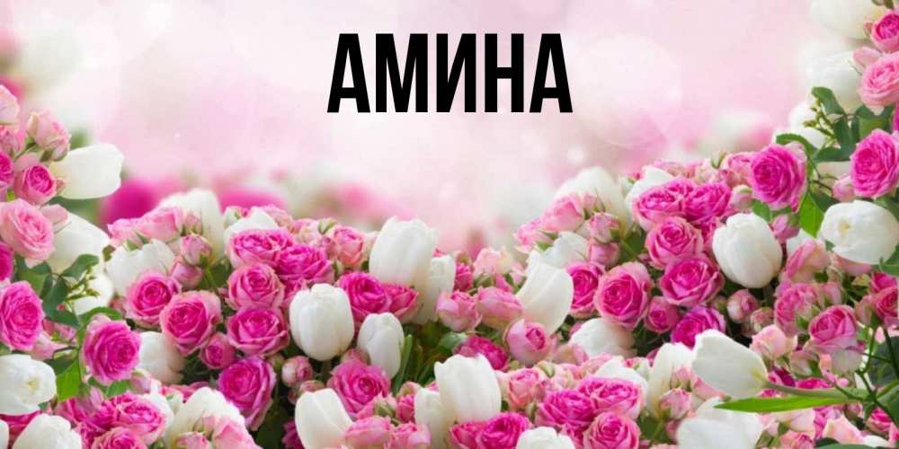 Открытка на каждый день с именем, Амина Главная открытка с разными розами Прикольная открытка с пожеланием онлайн скачать бесплатно 