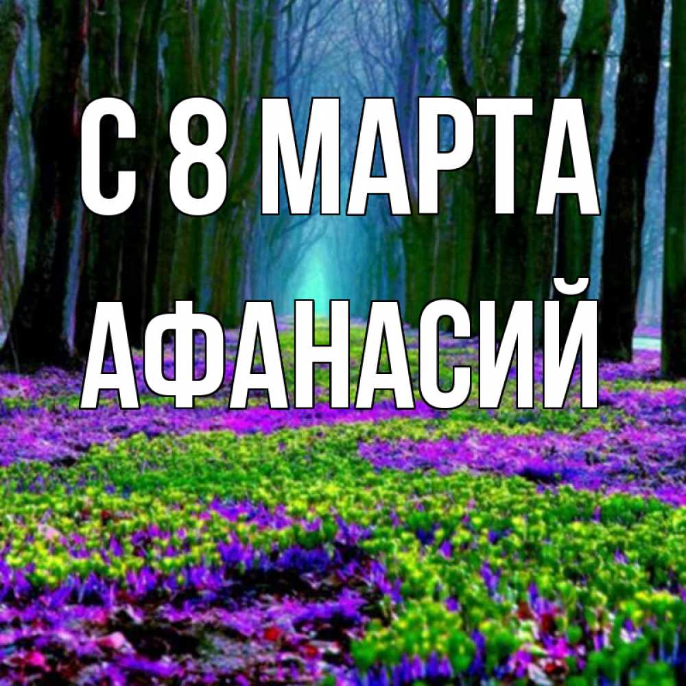 Открытка на каждый день с именем, Афанасий С 8 МАРТА фиолетовые цветы в лесу 1 Прикольная открытка с пожеланием онлайн скачать бесплатно 