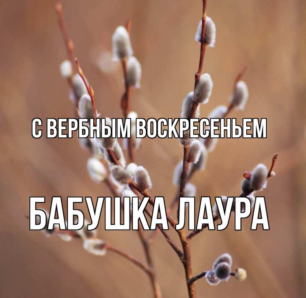 Открытка на каждый день с именем, Бабушка-Лаура С вербным воскресеньем верба Прикольная открытка с пожеланием онлайн скачать бесплатно 