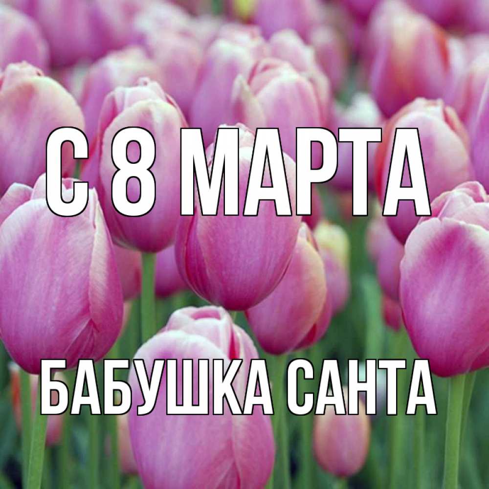 Открытка на каждый день с именем, Бабушка-Санта С 8 МАРТА на международный женский день 3 Прикольная открытка с пожеланием онлайн скачать бесплатно 