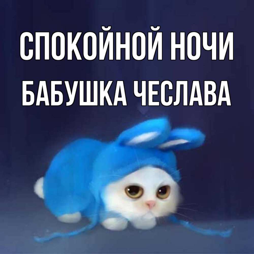 Открытка на каждый день с именем, Бабушка-Чеслава Спокойной ночи кот в голубом костюме кролика с ушками Прикольная открытка с пожеланием онлайн скачать бесплатно 