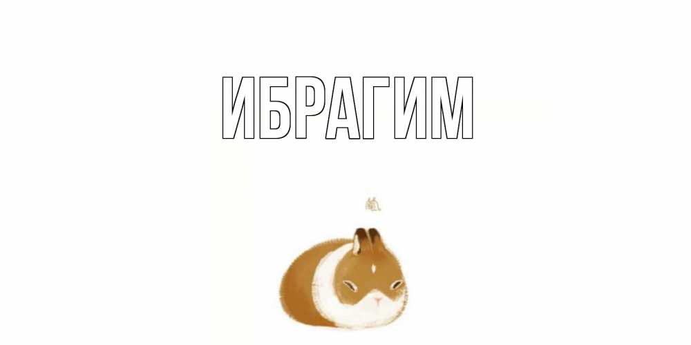 Открытка на каждый день с именем, Ибрагим Главная морская свинка на открытке с пожеланиями не болеть Прикольная открытка с пожеланием онлайн скачать бесплатно 