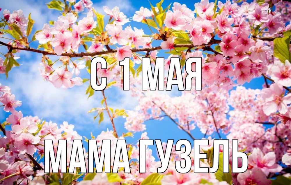 Открытка на каждый день с именем, Мама-Гузель С 1 мая С 1 мая Прикольная открытка с пожеланием онлайн скачать бесплатно 