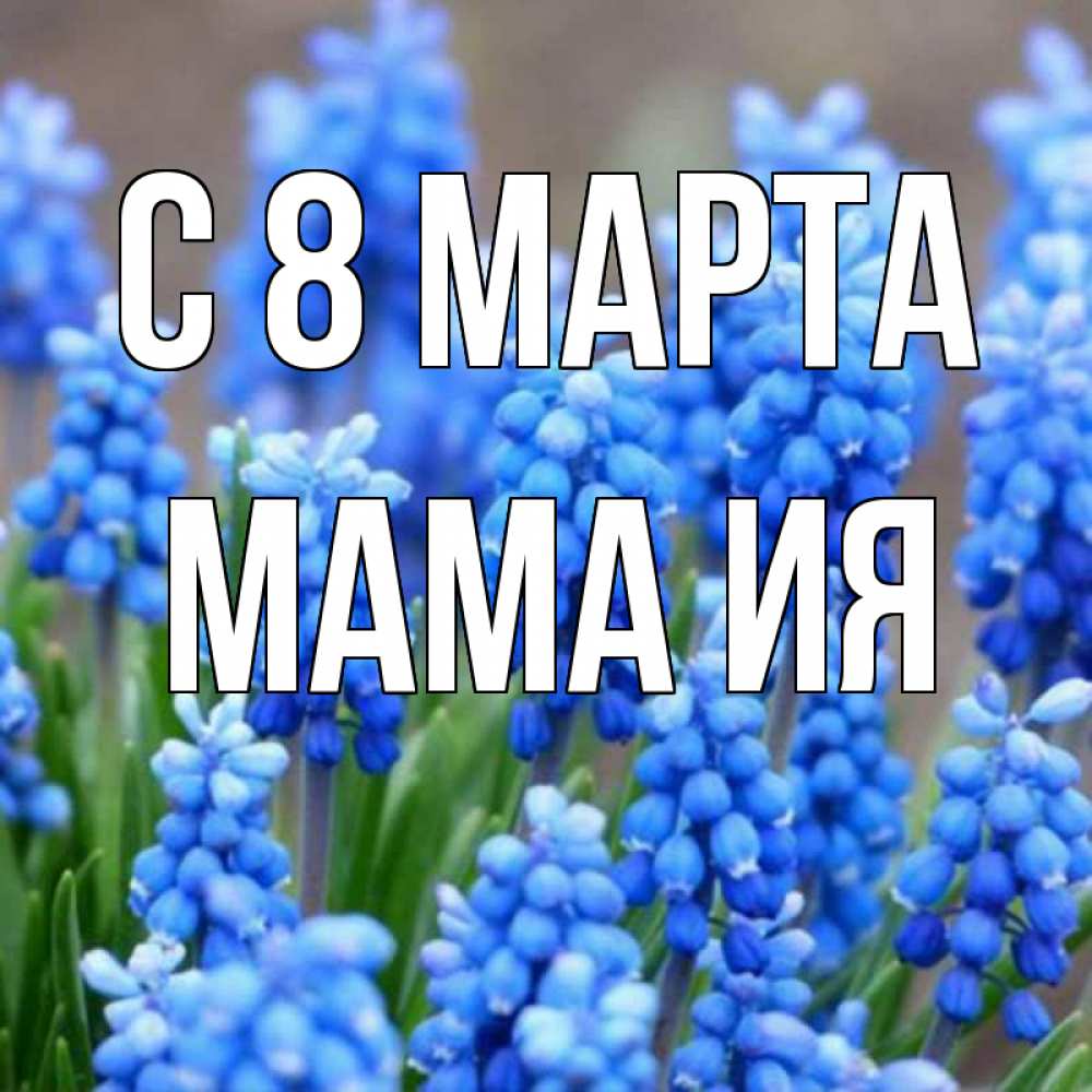 Открытка на каждый день с именем, Мама-Ия С 8 марта Поздравительная открытка для женщин с цветами на праздничную дату Прикольная открытка с пожеланием онлайн скачать бесплатно 