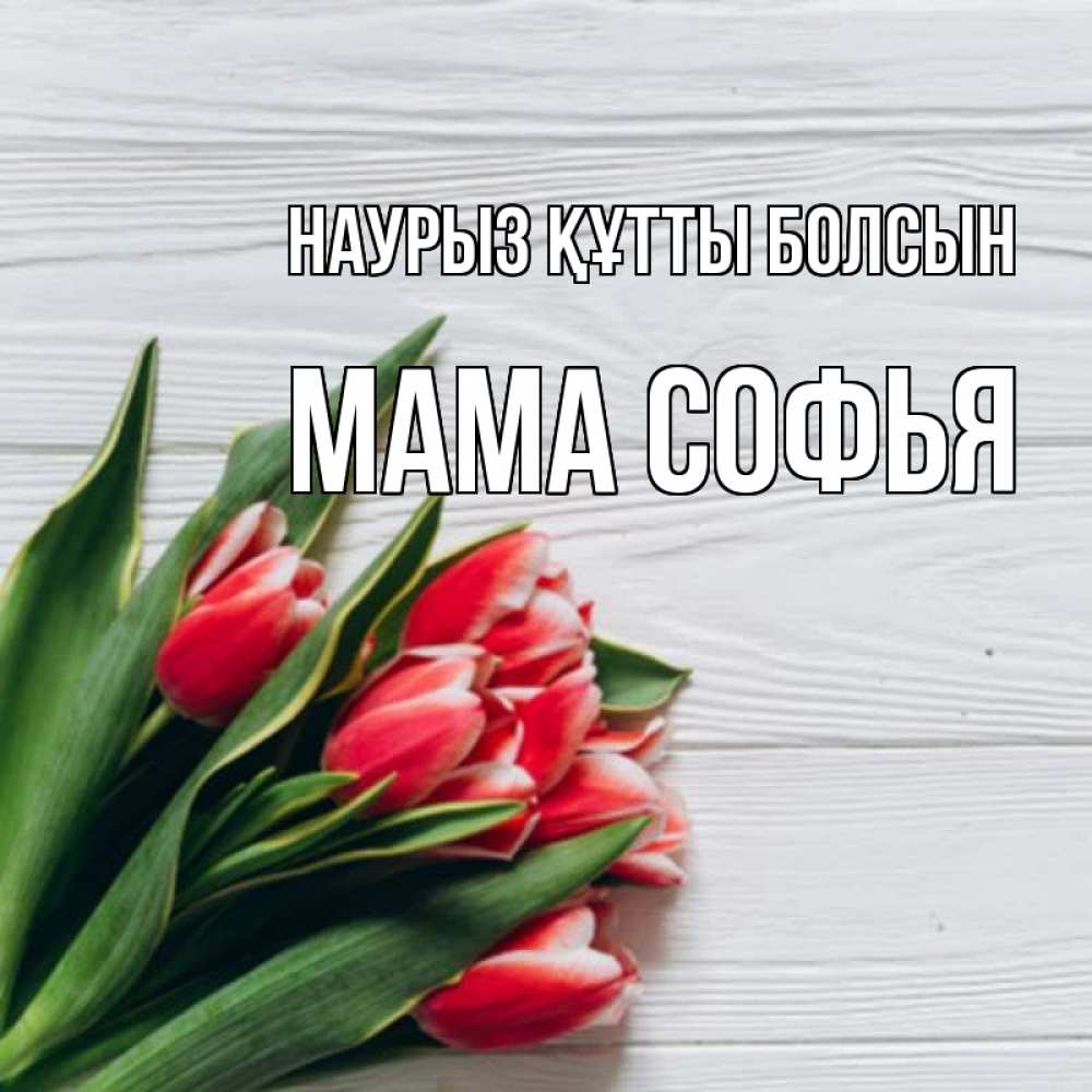 Открытка на каждый день с именем, Мама-Софья Наурыз құтты болсын весна 2 Прикольная открытка с пожеланием онлайн скачать бесплатно 