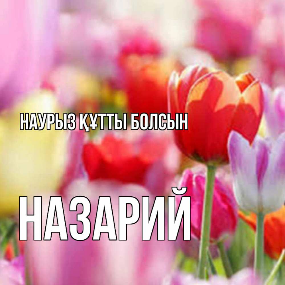 Открытка на каждый день с именем, Назарий Наурыз құтты болсын на наурыз  2 Прикольная открытка с пожеланием онлайн скачать бесплатно 