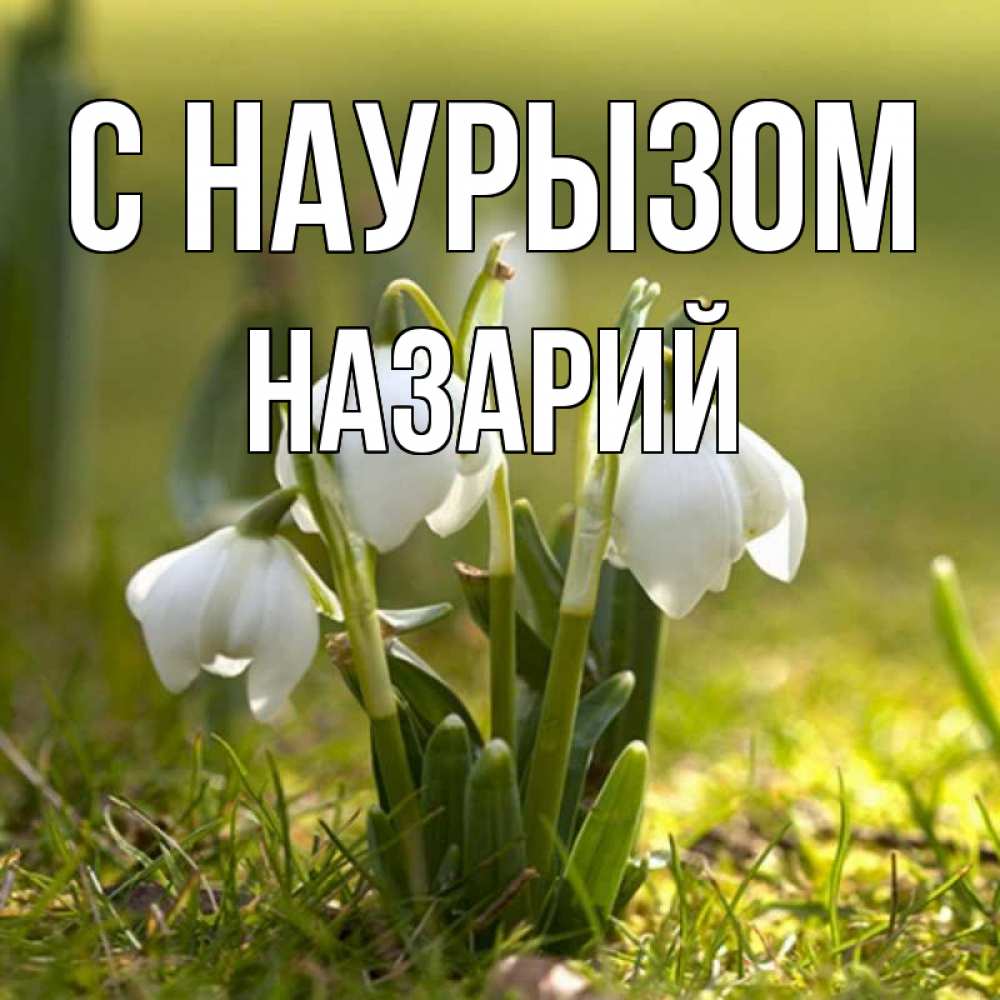 Открытка на каждый день с именем, Назарий С наурызом ранние цветы 2 Прикольная открытка с пожеланием онлайн скачать бесплатно 