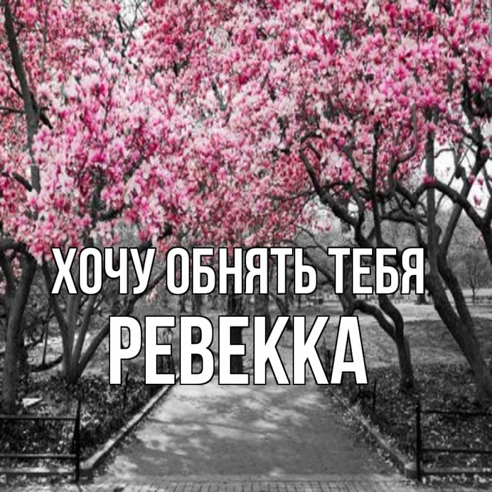 Открытка на каждый день с именем, Ревекка Хочу обнять тебя обработанное фото Прикольная открытка с пожеланием онлайн скачать бесплатно 