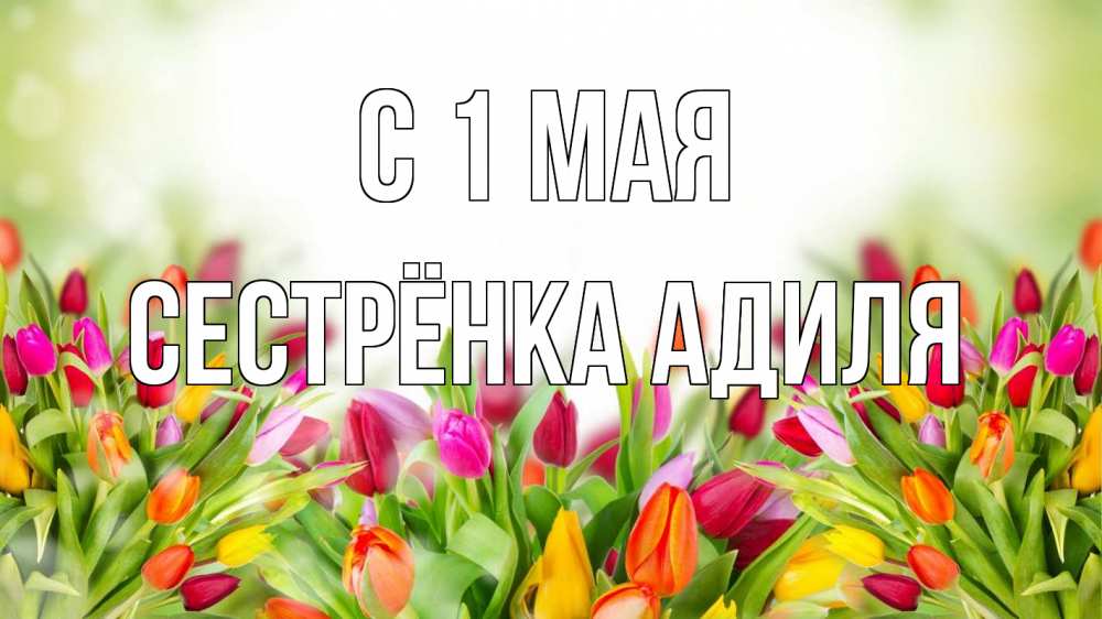 Открытка на каждый день с именем, Сестрёнка-Адиля С 1 мая С 1 мая Прикольная открытка с пожеланием онлайн скачать бесплатно 