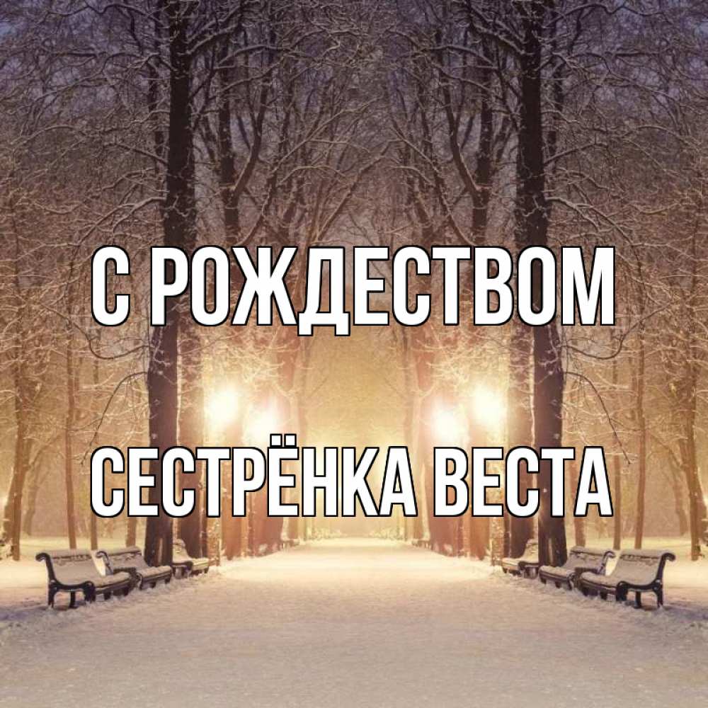 Открытка на каждый день с именем, Сестрёнка-Веста С рождеством зима, парк, фонарь, лес Прикольная открытка с пожеланием онлайн скачать бесплатно 