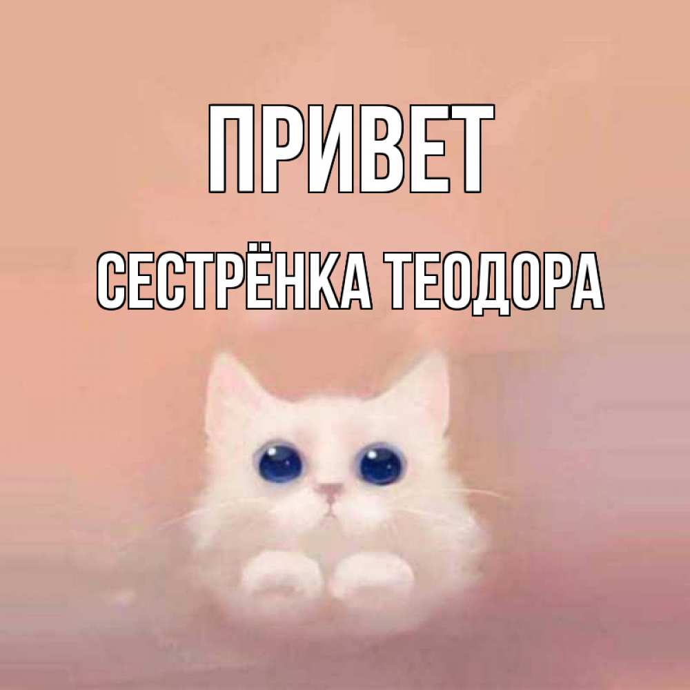 Открытка на каждый день с именем, Сестрёнка-Теодора Привет котик белый в полете Прикольная открытка с пожеланием онлайн скачать бесплатно 