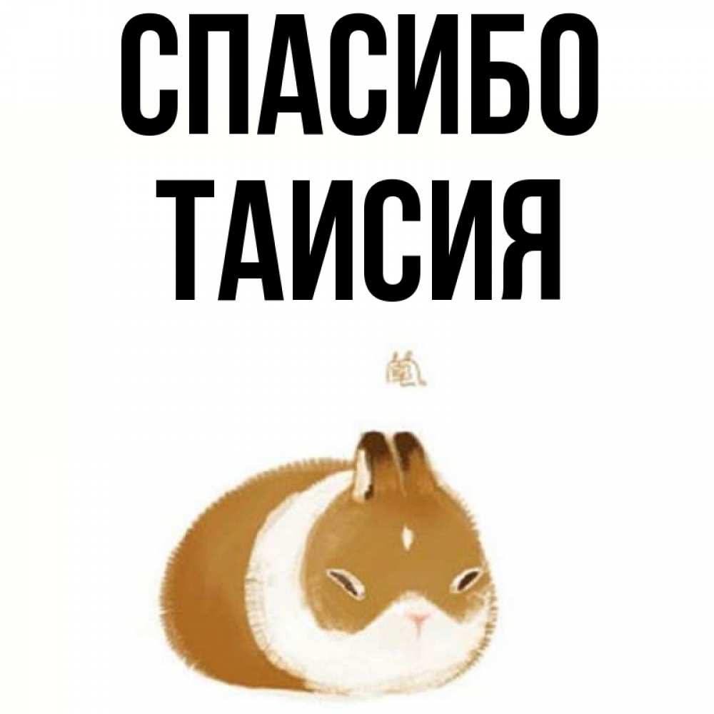Открытка на каждый день с именем, Таисия Спасибо коричнево белый домашний питомец Прикольная открытка с пожеланием онлайн скачать бесплатно 