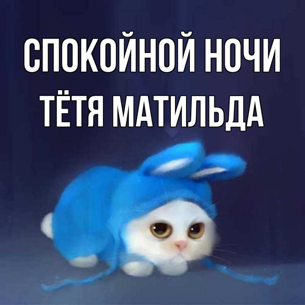 Открытка на каждый день с именем, Тётя-Матильда Спокойной ночи кот в голубом костюме кролика с ушками Прикольная открытка с пожеланием онлайн скачать бесплатно 