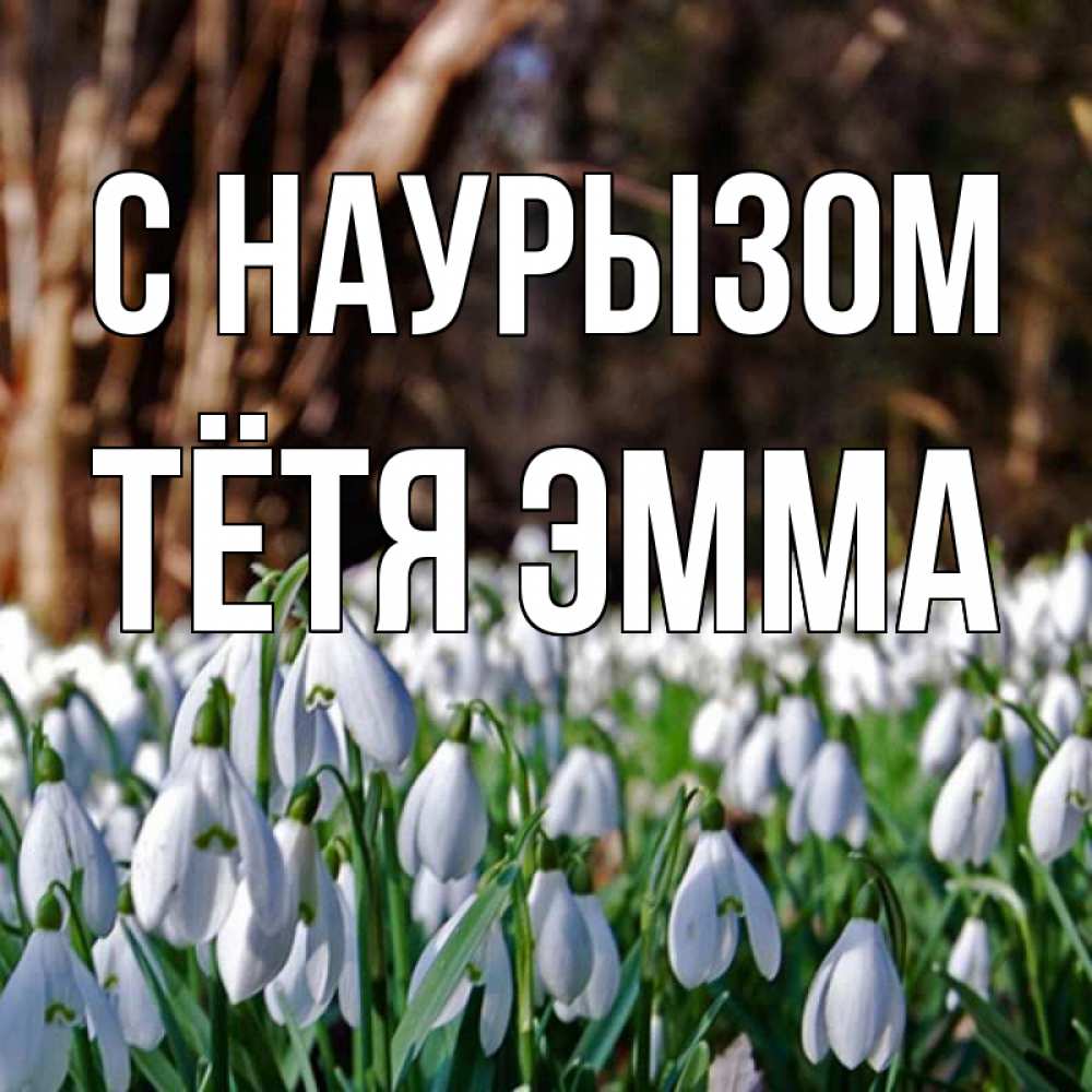 Открытка на каждый день с именем, Тётя-Эмма С наурызом с подснежниками 1 Прикольная открытка с пожеланием онлайн скачать бесплатно 