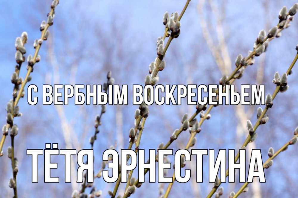 Открытка на каждый день с именем, Тётя-Эрнестина С вербным воскресеньем верба Прикольная открытка с пожеланием онлайн скачать бесплатно 