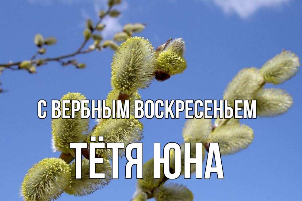 Открытка на каждый день с именем, Тётя-Юна С вербным воскресеньем верба Прикольная открытка с пожеланием онлайн скачать бесплатно 