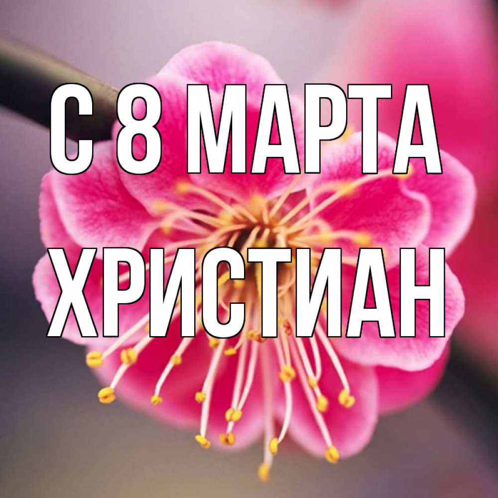 Открытка на каждый день с именем, Христиан С 8 МАРТА цветы Прикольная открытка с пожеланием онлайн скачать бесплатно 