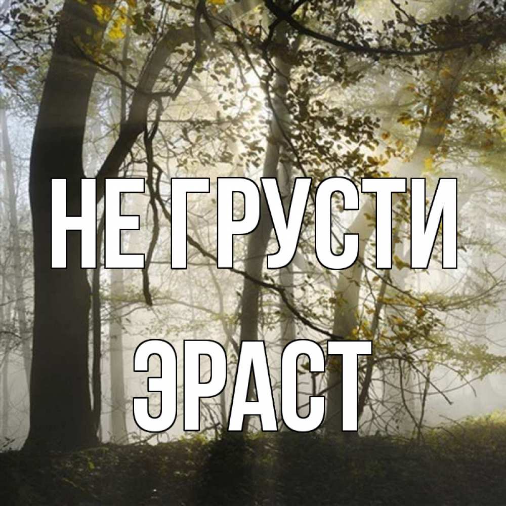 Открытка на каждый день с именем, Эраст Не грусти лес и свет Прикольная открытка с пожеланием онлайн скачать бесплатно 