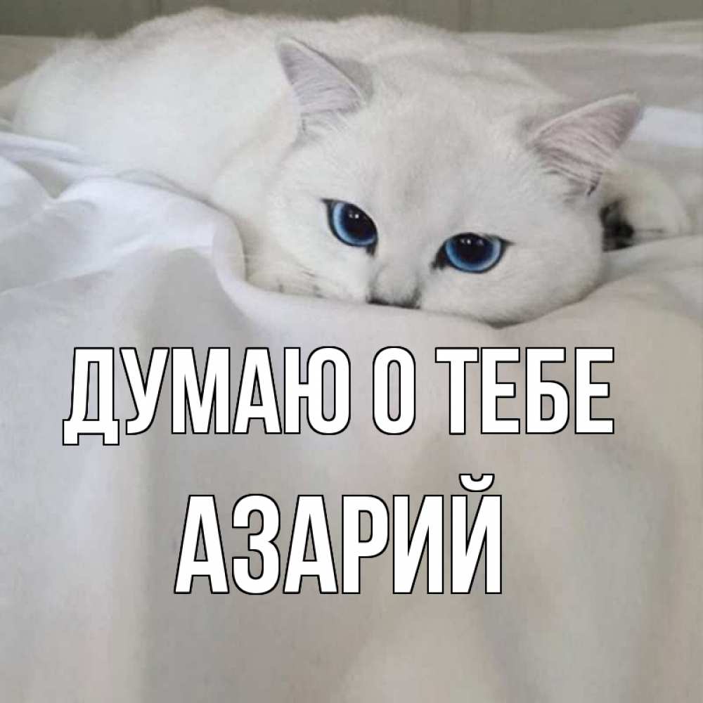 Открытка на каждый день с именем, Азарий Думаю о тебе я очень по тебе скучаю и тоскую Прикольная открытка с пожеланием онлайн скачать бесплатно 