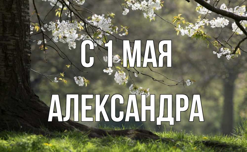 Открытка на каждый день с именем, Александра С 1 мая С 1 мая Прикольная открытка с пожеланием онлайн скачать бесплатно 