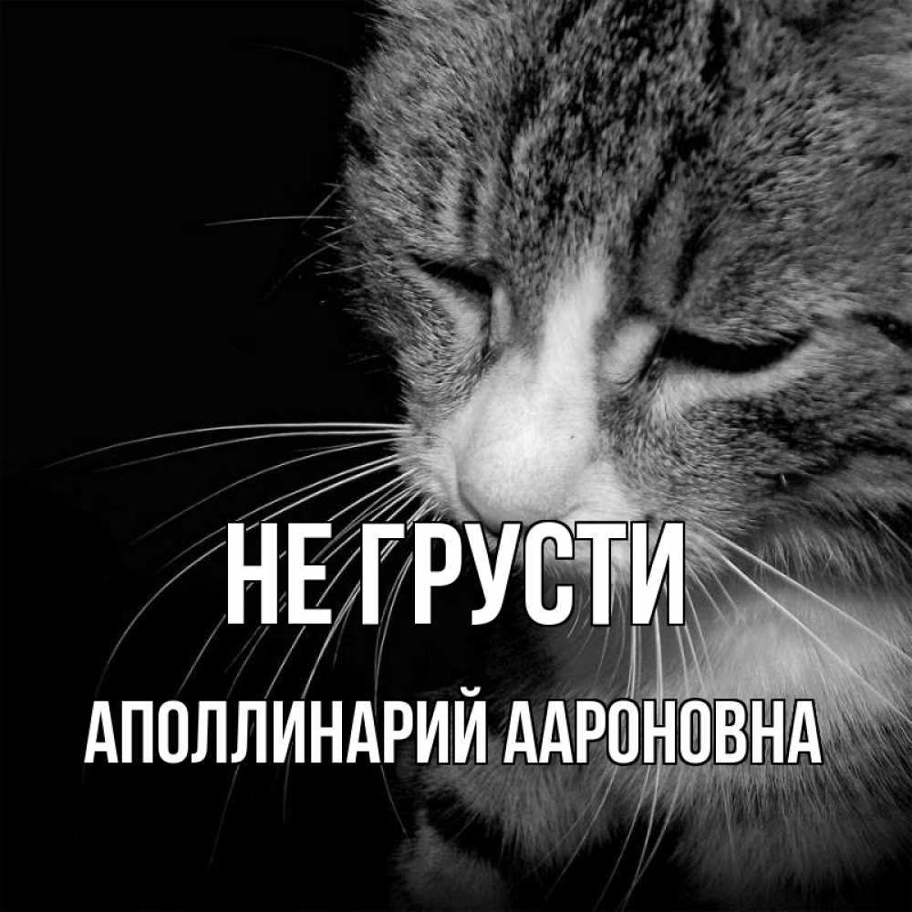 Открытка с именем, Аполлинарий Аароновна, Не грусти