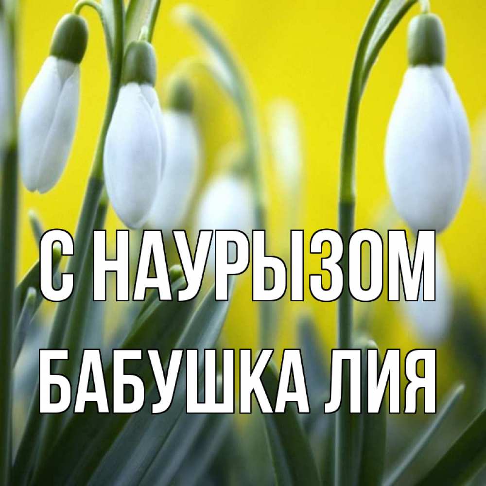 Открытка на каждый день с именем, Бабушка-Лия С наурызом весенние цветы Прикольная открытка с пожеланием онлайн скачать бесплатно 
