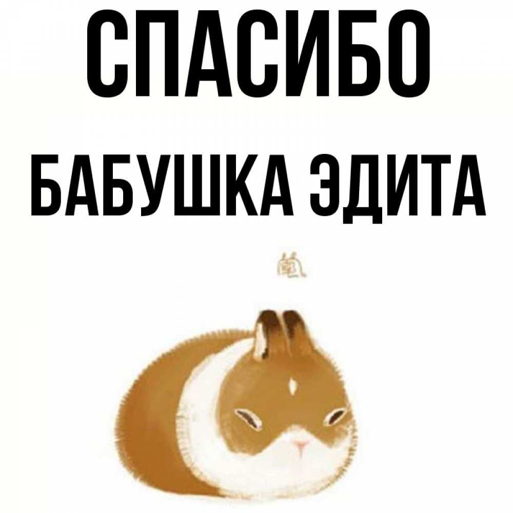Открытка на каждый день с именем, Бабушка-Эдита Спасибо коричнево белый домашний питомец Прикольная открытка с пожеланием онлайн скачать бесплатно 