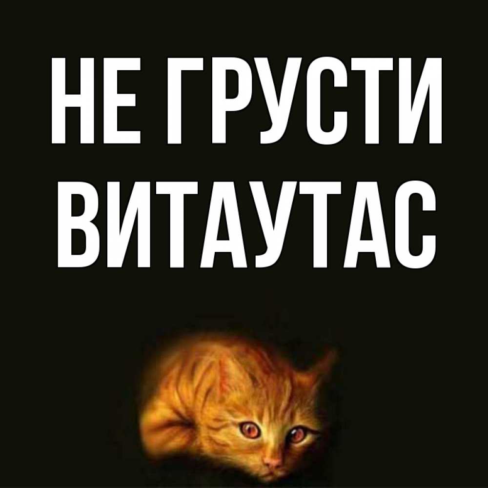 Открытка на каждый день с именем, Витаутас Не грусти лежащий кот в темноте Прикольная открытка с пожеланием онлайн скачать бесплатно 