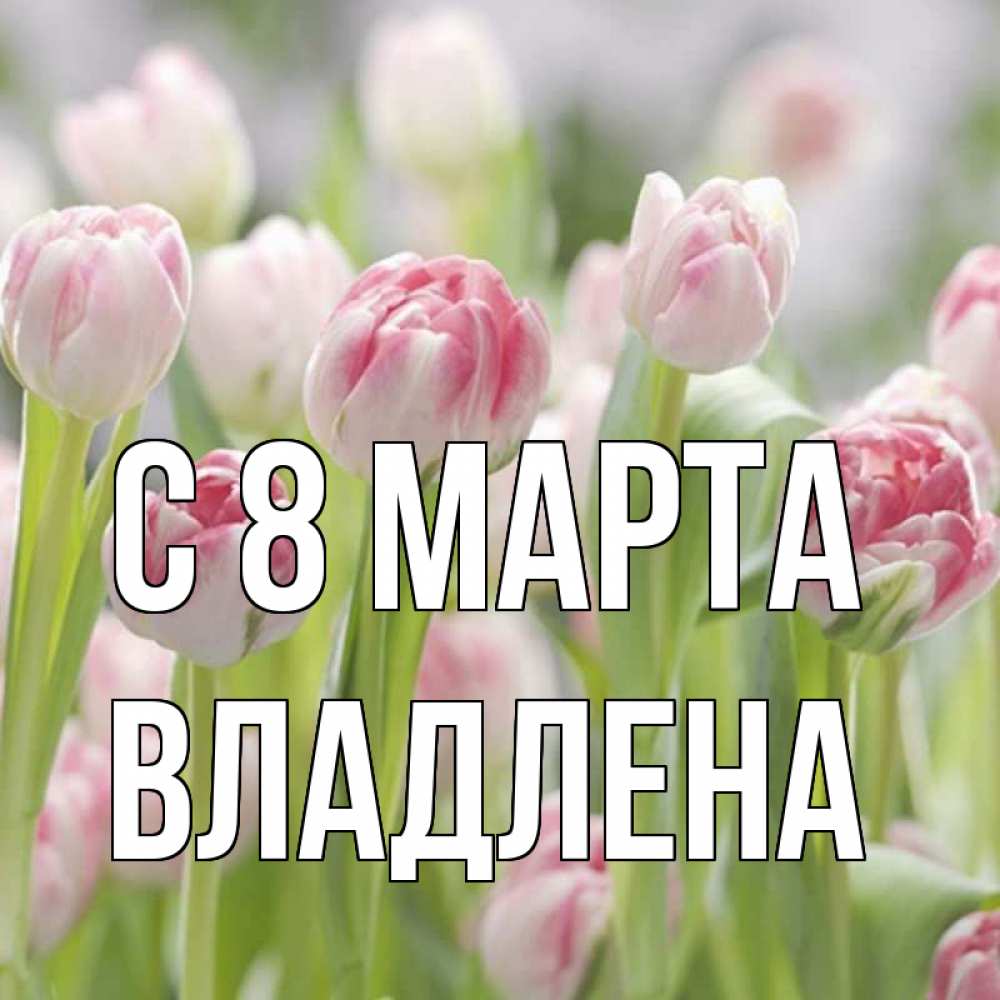 Открытка на каждый день с именем, Владлена С 8 МАРТА цветы Прикольная открытка с пожеланием онлайн скачать бесплатно 