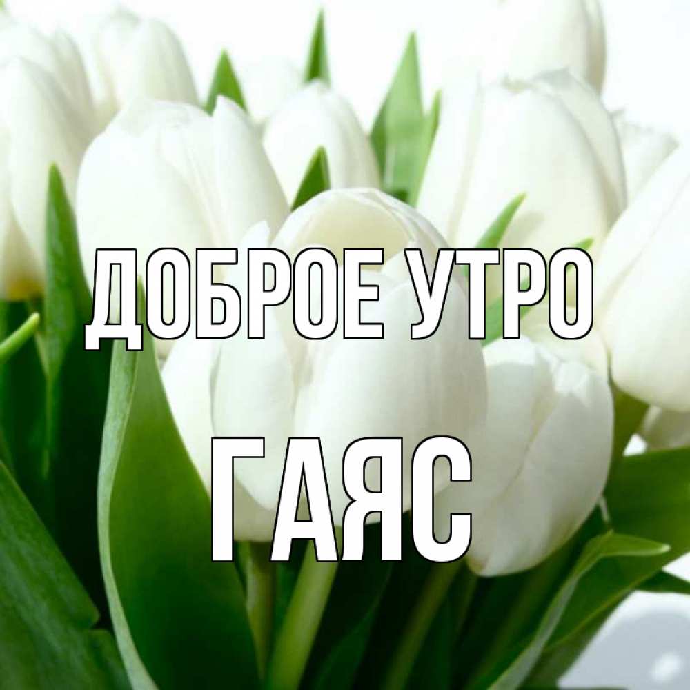 Открытка на каждый день с именем, Гаяс Доброе утро открытки на каждый день по именам Прикольная открытка с пожеланием онлайн скачать бесплатно 