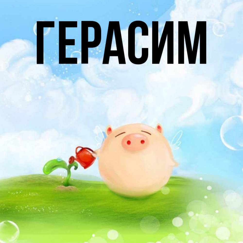 Открытка на каждый день с именем, Герасим Главная позитивная свинюшка Прикольная открытка с пожеланием онлайн скачать бесплатно 