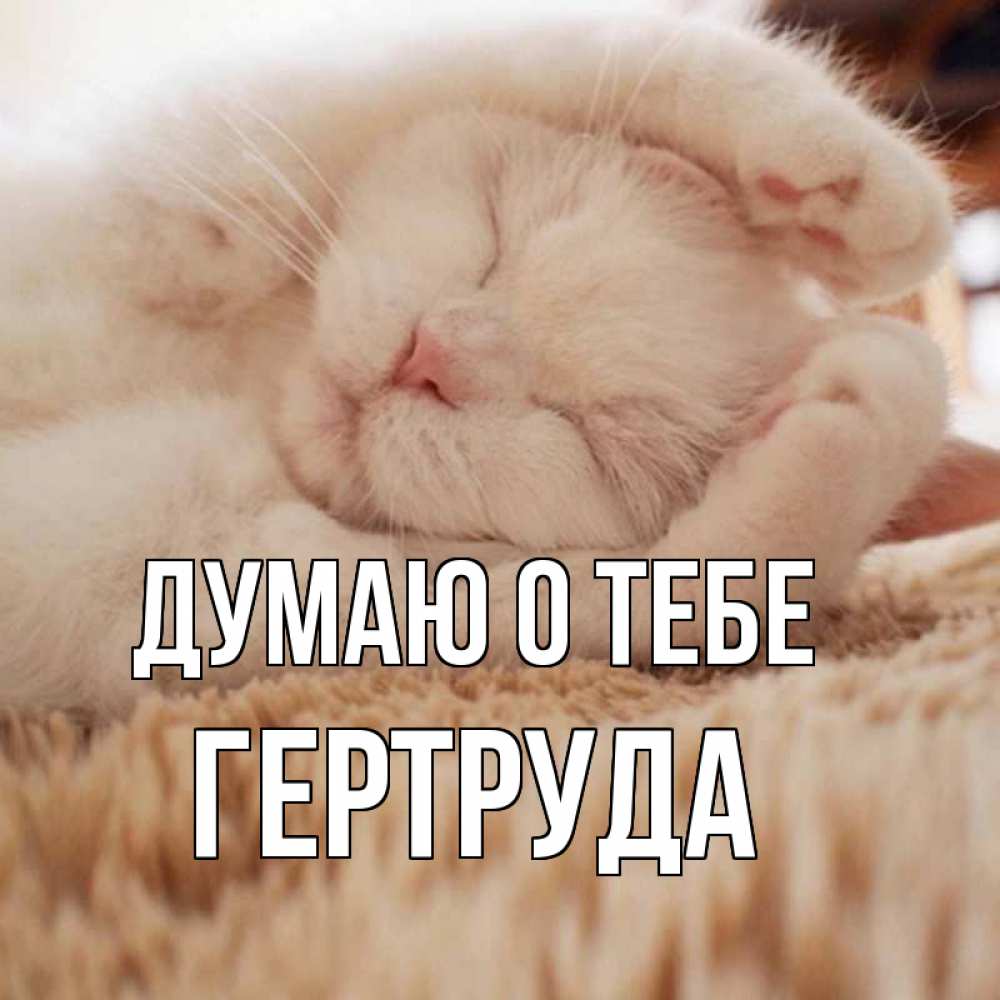 Открытка на каждый день с именем, Гертруда Думаю о тебе для любимой девушки милота Прикольная открытка с пожеланием онлайн скачать бесплатно 