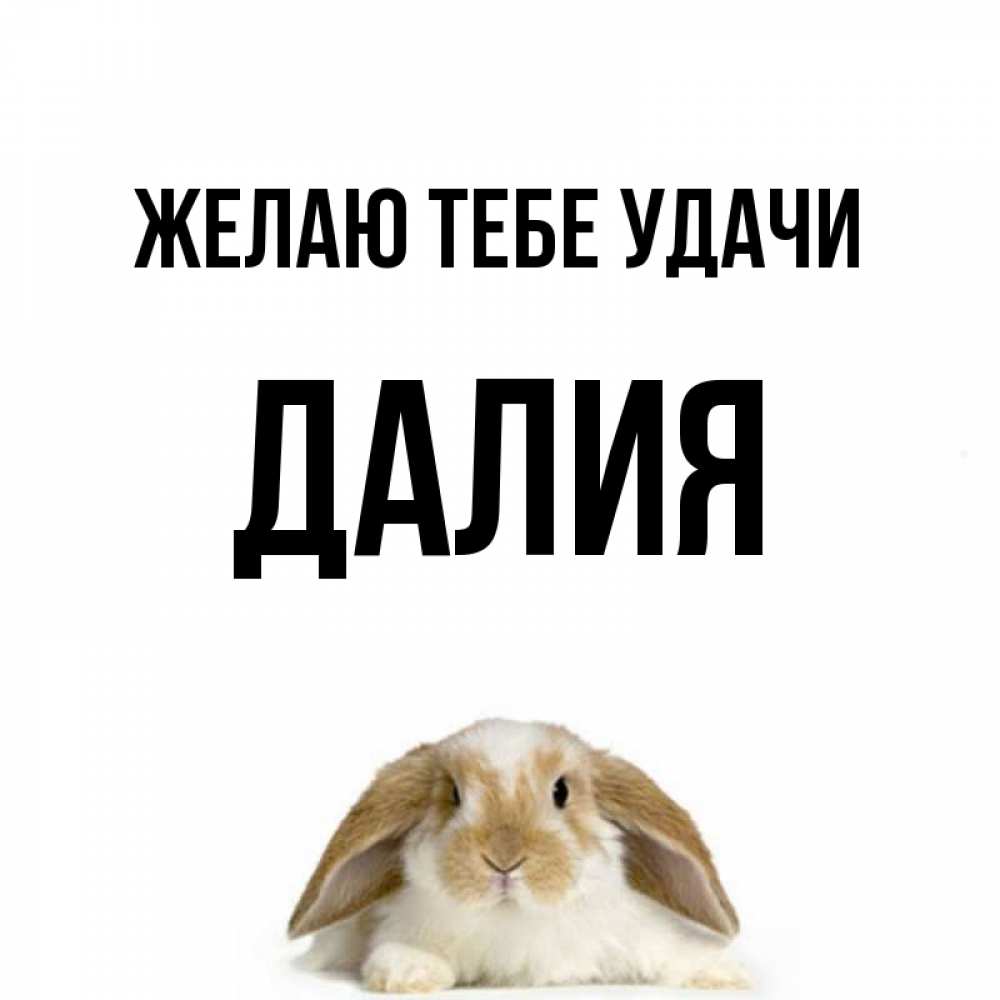 Открытка на каждый день с именем, Далия Желаю тебе удачи открытки с произвольным текстом который можно вставить в открытку и создать ее самостоятельно бесплатно онлайн Прикольная открытка с пожеланием онлайн скачать бесплатно 