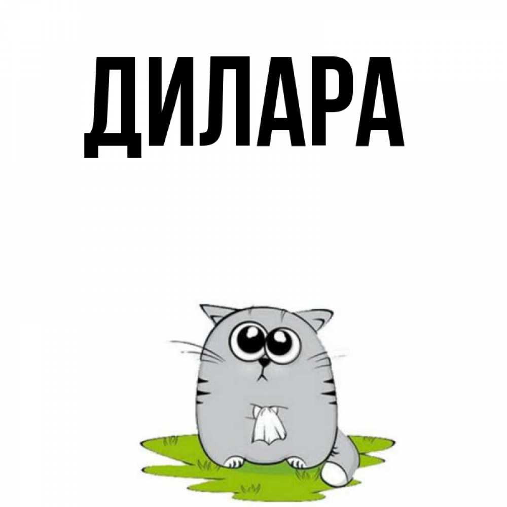 Открытка на каждый день с именем, Дилара Главная котик теребит платочек сидя на травке Прикольная открытка с пожеланием онлайн скачать бесплатно 