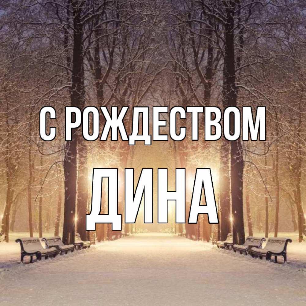 Открытка на каждый день с именем, Дина С рождеством зима, парк, фонарь, лес Прикольная открытка с пожеланием онлайн скачать бесплатно 