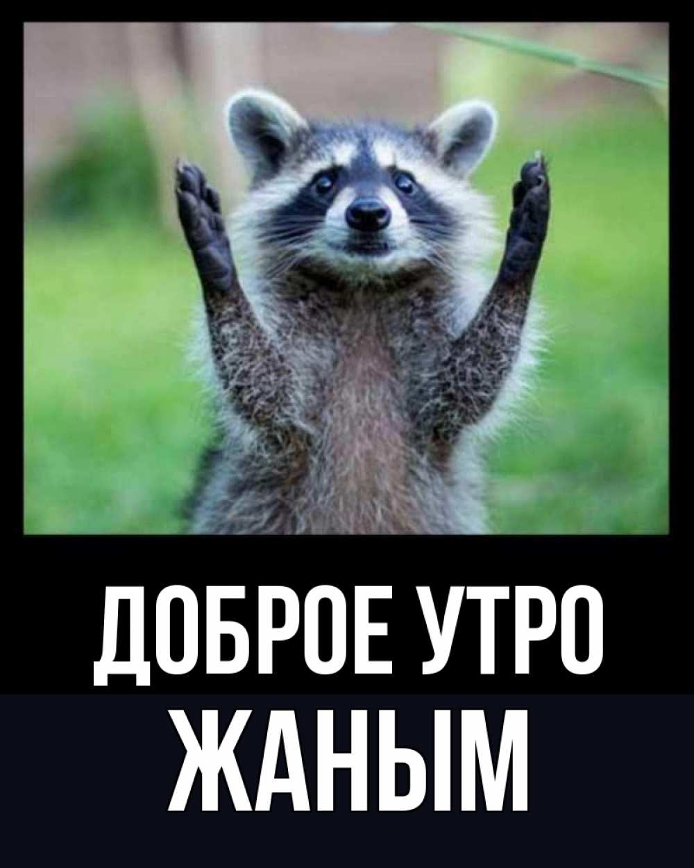 Открытка на каждый день с именем, Жаным Доброе утро хорошее настроение утречком Прикольная открытка с пожеланием онлайн скачать бесплатно 
