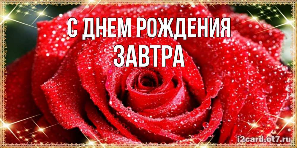 Открытка на каждый день с именем, Завтра С днем рождения роса и роза. открытка с красивой розой Прикольная открытка с пожеланием онлайн скачать бесплатно 