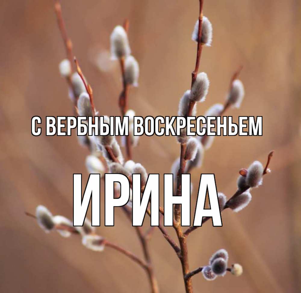 Открытка на каждый день с именем, Ирина С вербным воскресеньем верба Прикольная открытка с пожеланием онлайн скачать бесплатно 