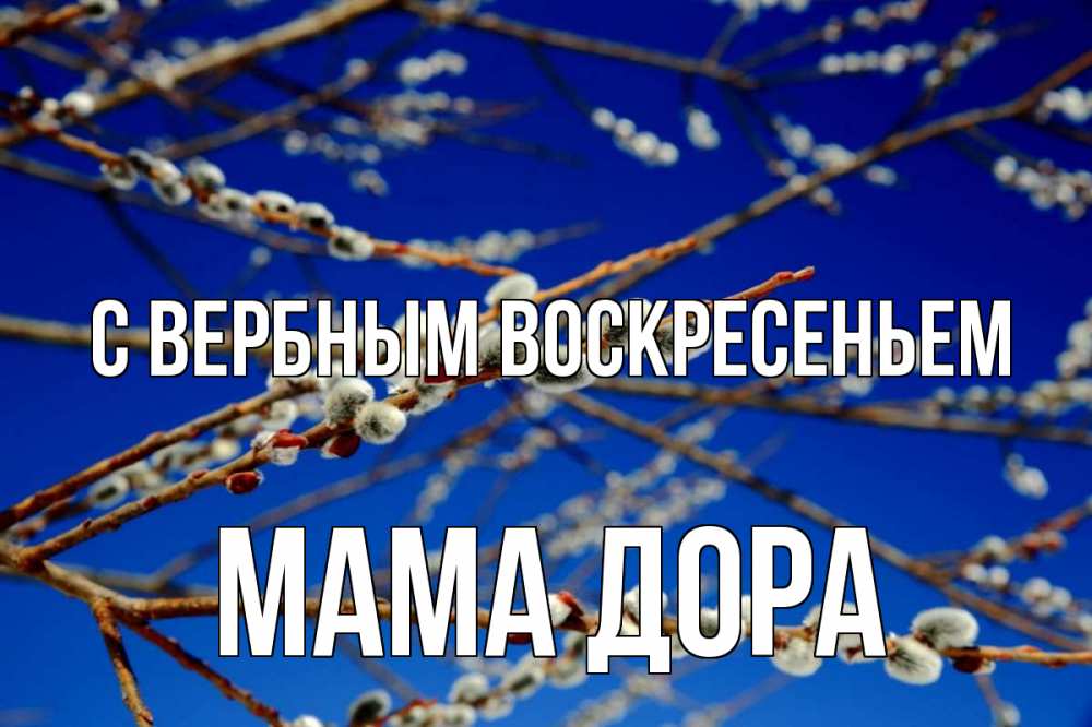 Открытка на каждый день с именем, Мама-Дора С вербным воскресеньем верба Прикольная открытка с пожеланием онлайн скачать бесплатно 